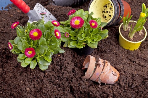 Beautiful landscaped garden in Wembley with diverse plants