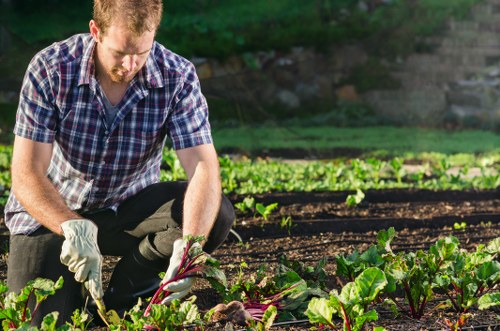 Efficient irrigation system installed in Wembley landscape